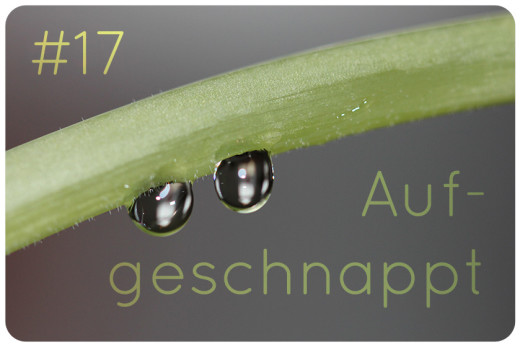 aufgeschnappt #17 naturkosmetik blog news