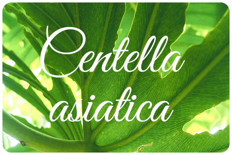 Kosmetik Centella Asiatica