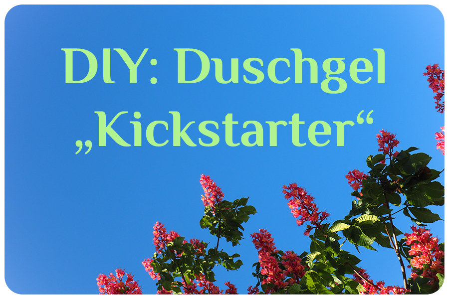 Dufter DIY Dienstag Naturdrogerie Herbs and Flowers Duschgel Kickstarter