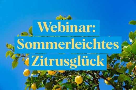 webinar sommerleichtes zitrusglück